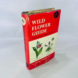 Wild Flower Guide Northeastern and Midland United States by Edgar T. Wherry illustrated by Tabea Hofmann 1948 Doubleday & Company