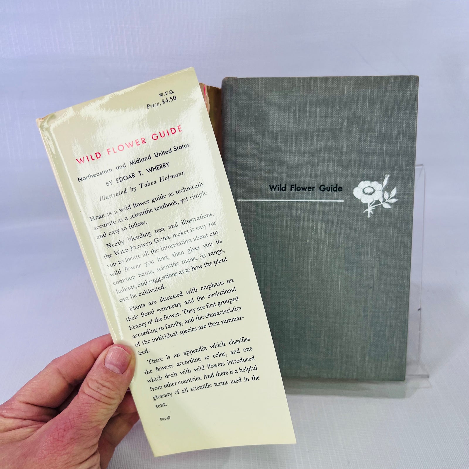 Wild Flower Guide Northeastern and Midland United States by Edgar T. Wherry illustrated by Tabea Hofmann 1948 Doubleday & Company