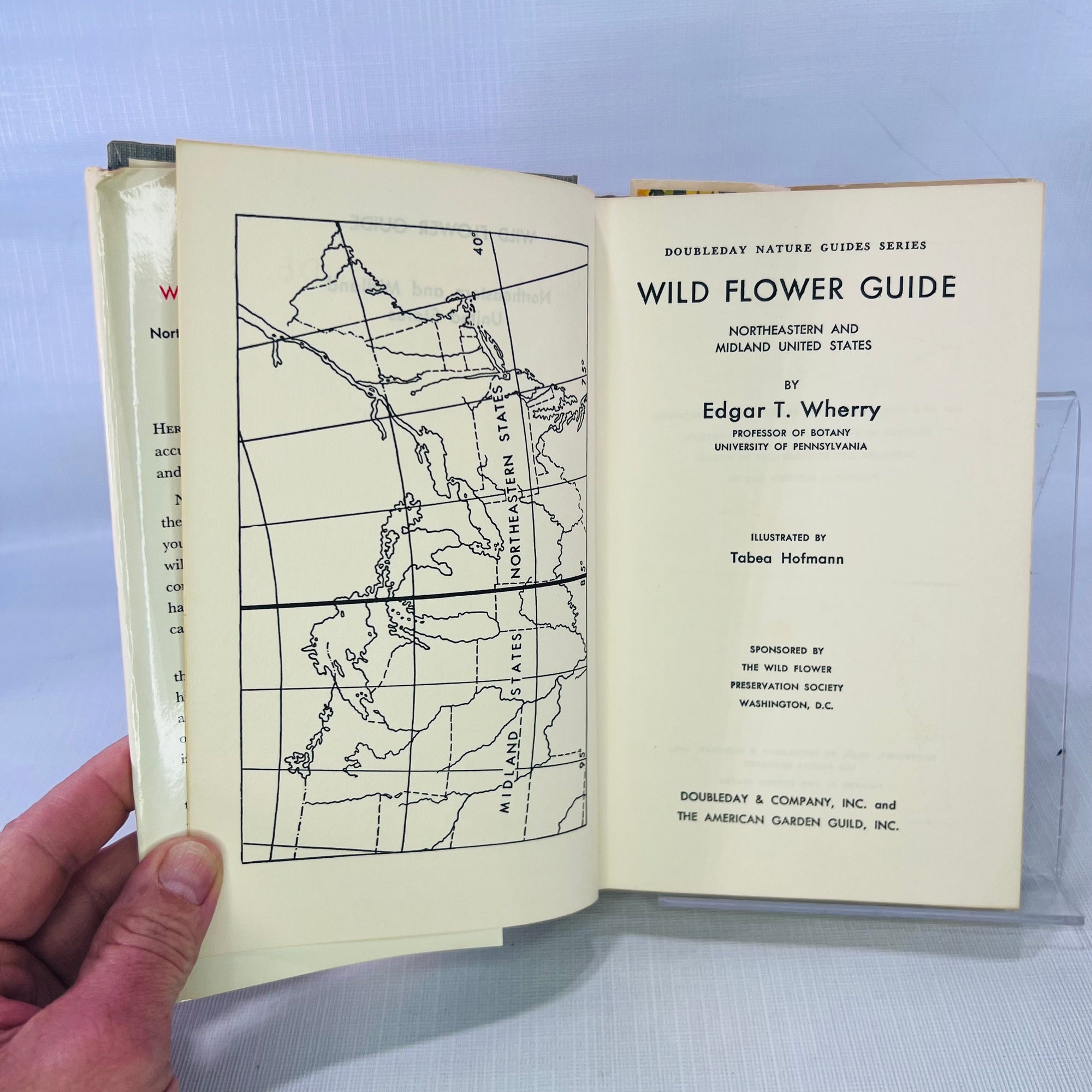 Wild Flower Guide Northeastern and Midland United States by Edgar T. Wherry illustrated by Tabea Hofmann 1948 Doubleday & Company