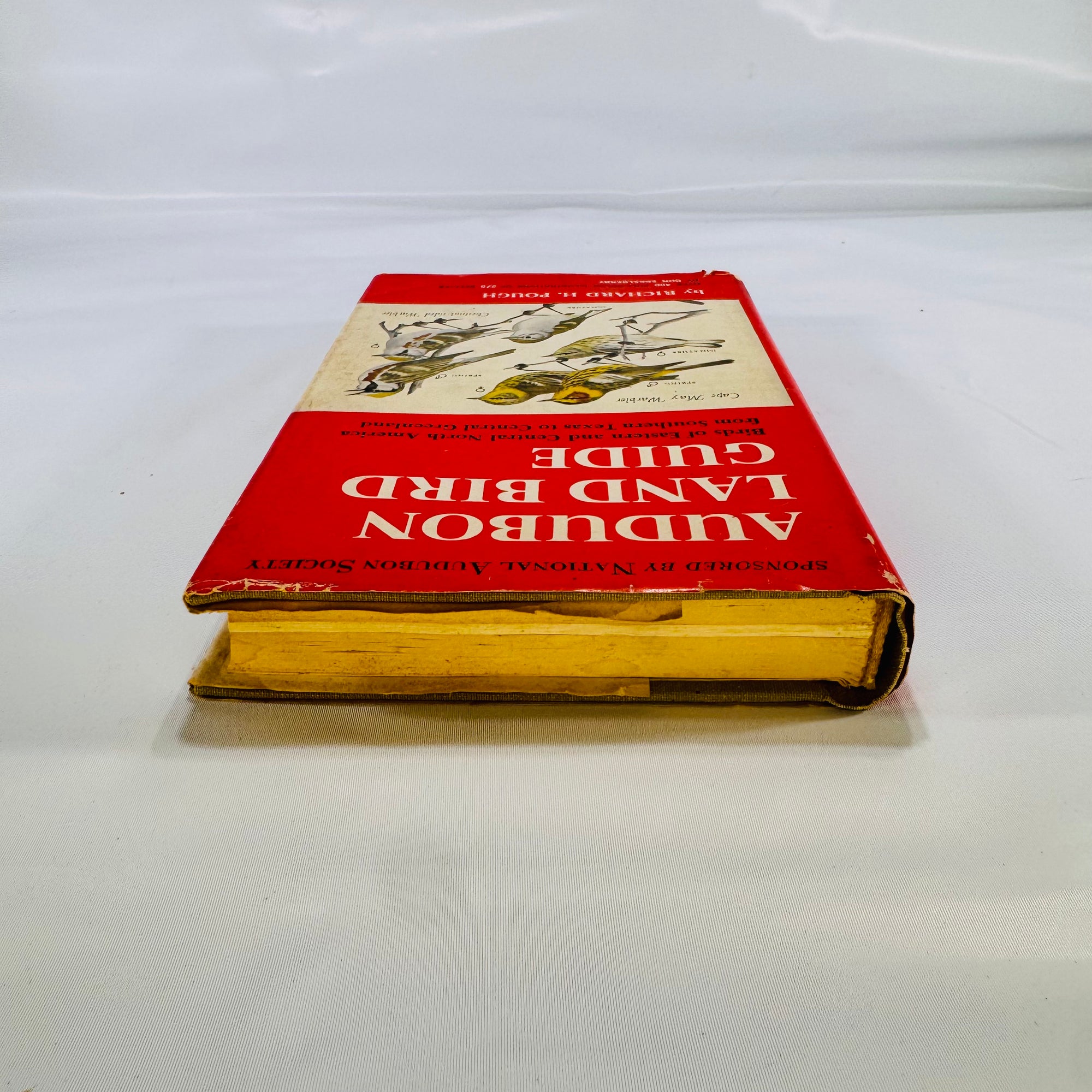 Audubon Land Bird Guide (Nature • Field Guide) – 1949 Illustrated Hardcover