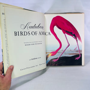 Favorite Audubon Birds of America Introduction by Roger Tory Peterson 1979 Crown Publishing