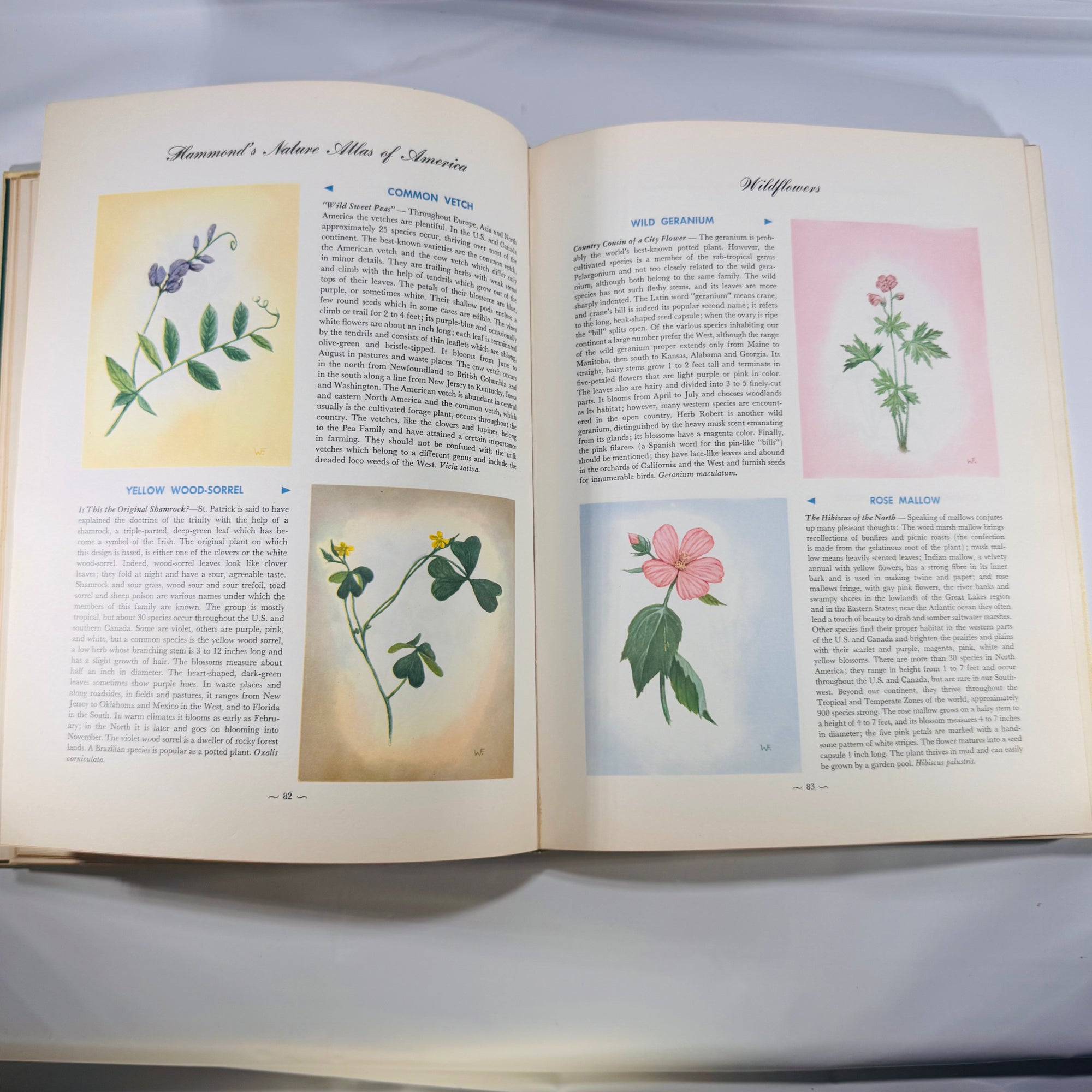 Nature Encyclopedia of America Atlas (Hammond, 1956 Classics Edition)