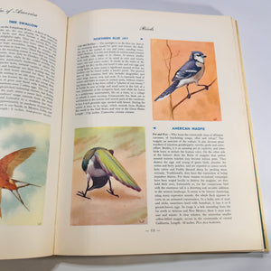 Nature Encyclopedia of America Atlas (Hammond, 1956 Classics Edition)