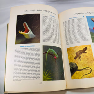 Nature Encyclopedia of America Atlas (Hammond, 1956 Classics Edition)