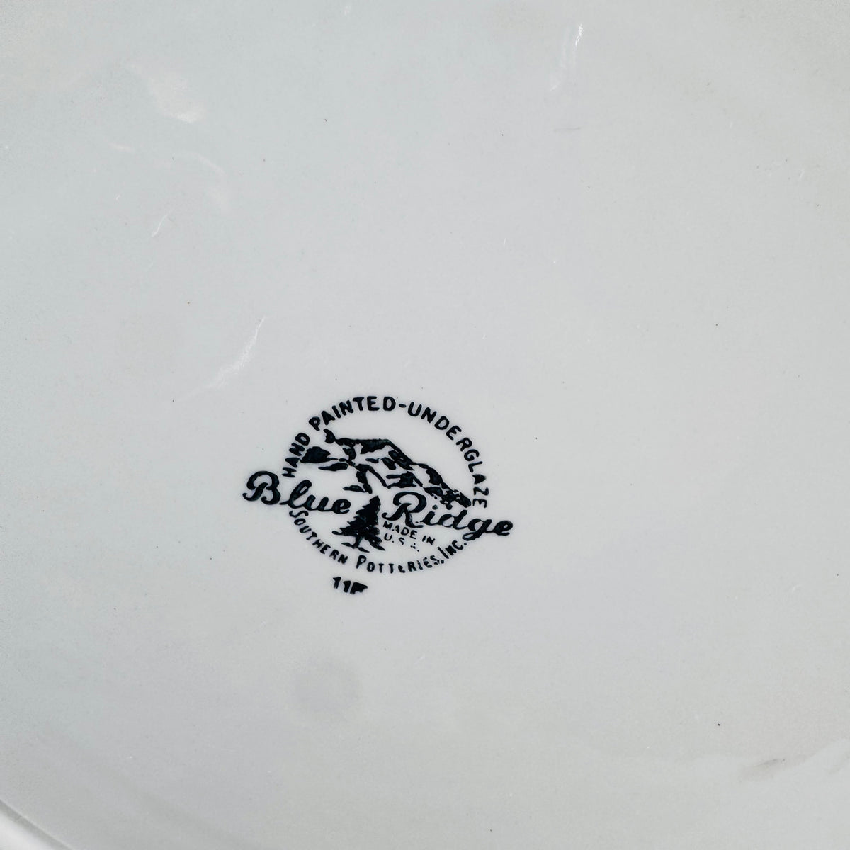 Blue Ridge Fantasia Dinner Plate Hand Painted Southern Potteries Mid Century Leaf Pattern