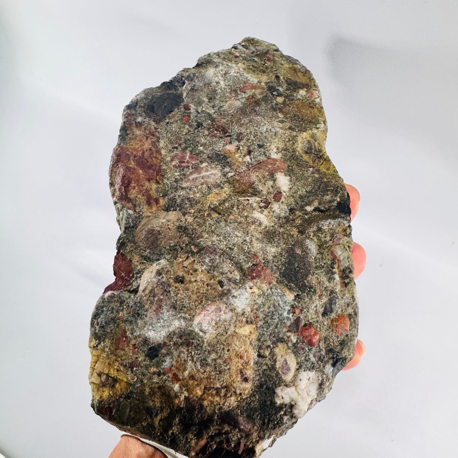 Raw Gowganda Tillite Specimen Michigan Conglomerate Rock 5 lb 14 oz