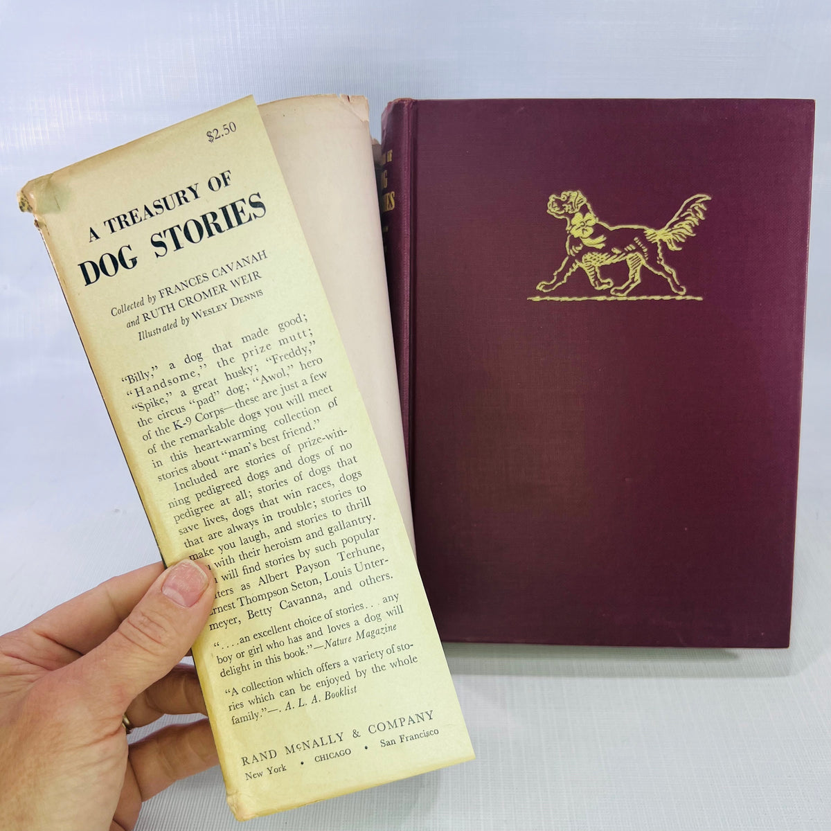 A Treasury of Dog Stories collected by Frances Cavanah illustrated by Wesley Dennis 1948 Rand McNally & Co