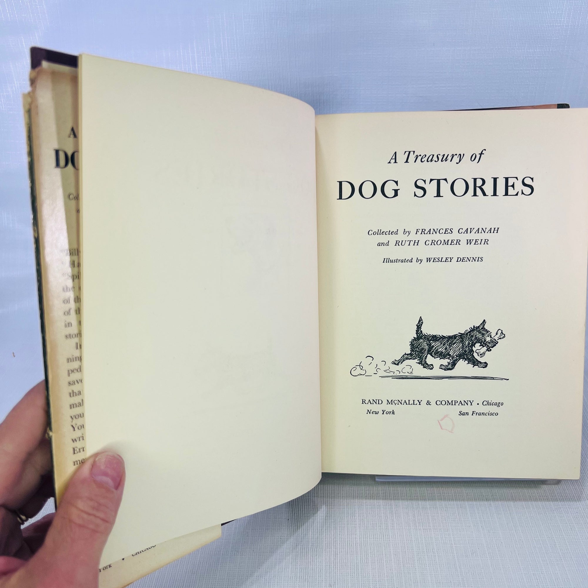 A Treasury of Dog Stories collected by Frances Cavanah illustrated by Wesley Dennis 1948 Rand McNally & Co