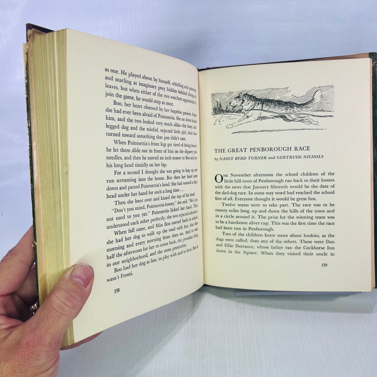 A Treasury of Dog Stories collected by Frances Cavanah illustrated by Wesley Dennis 1948 Rand McNally & Co