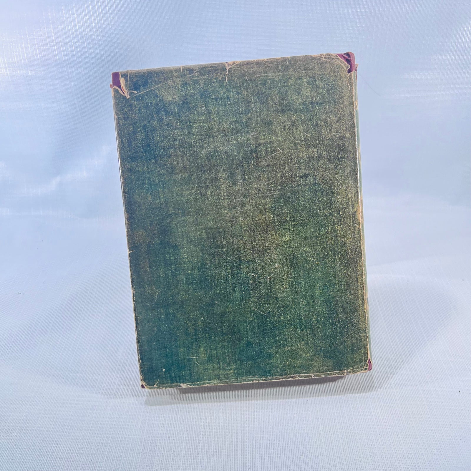 A Treasury of Dog Stories collected by Frances Cavanah illustrated by Wesley Dennis 1948 Rand McNally & Co