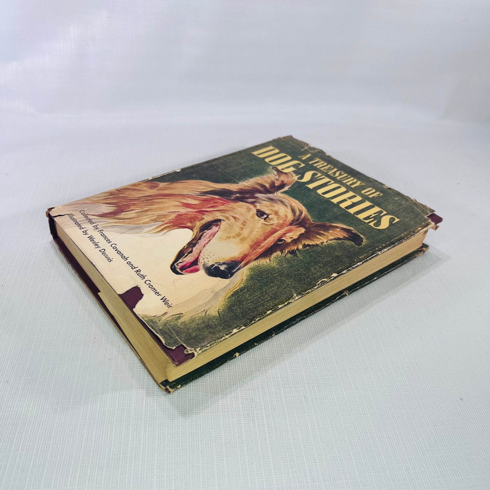 A Treasury of Dog Stories collected by Frances Cavanah illustrated by Wesley Dennis 1948 Rand McNally & Co