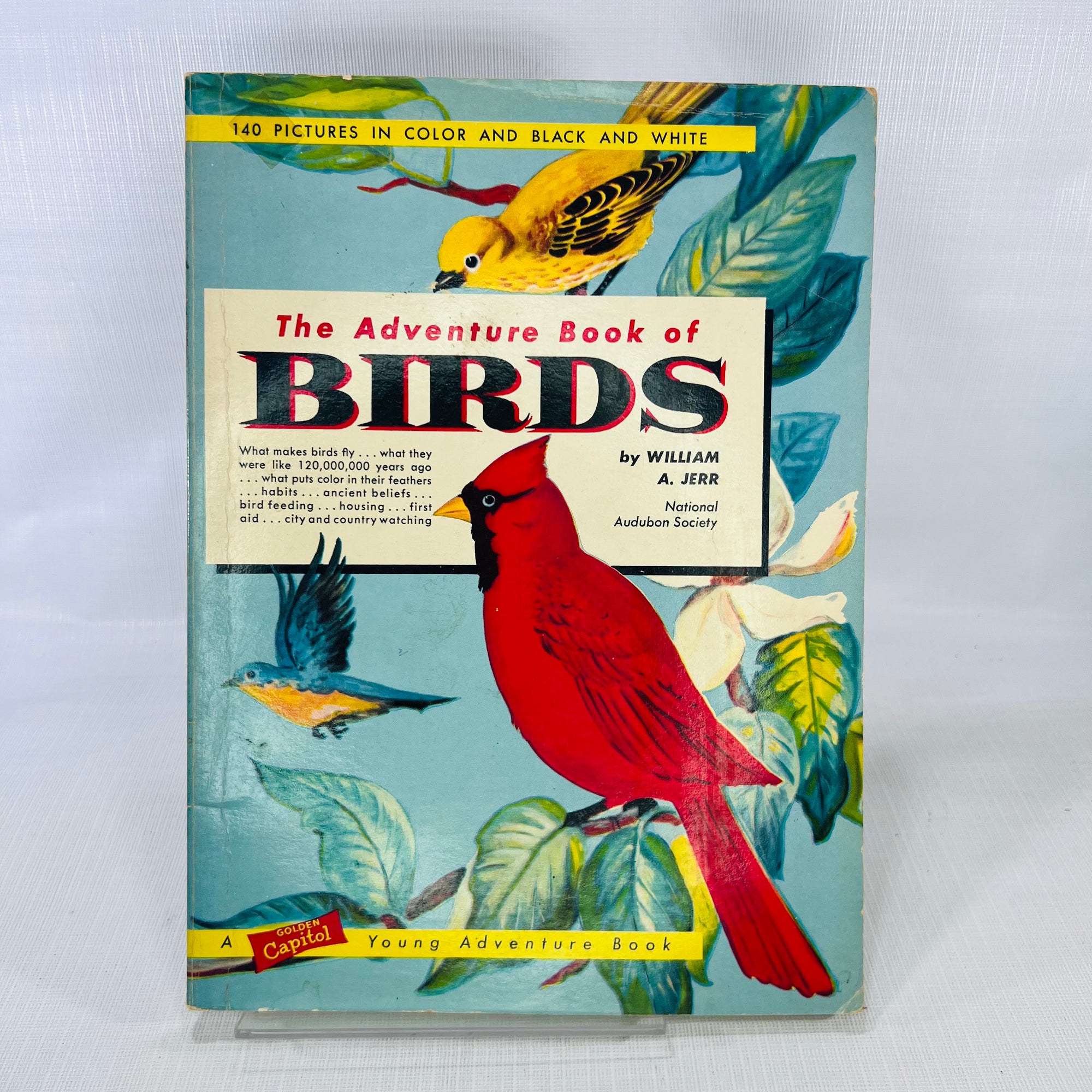 The Adventure Book of Birds by William A. Jerr illustrations by Charlotte Howard 1959 A Capitol Young Adventure Book