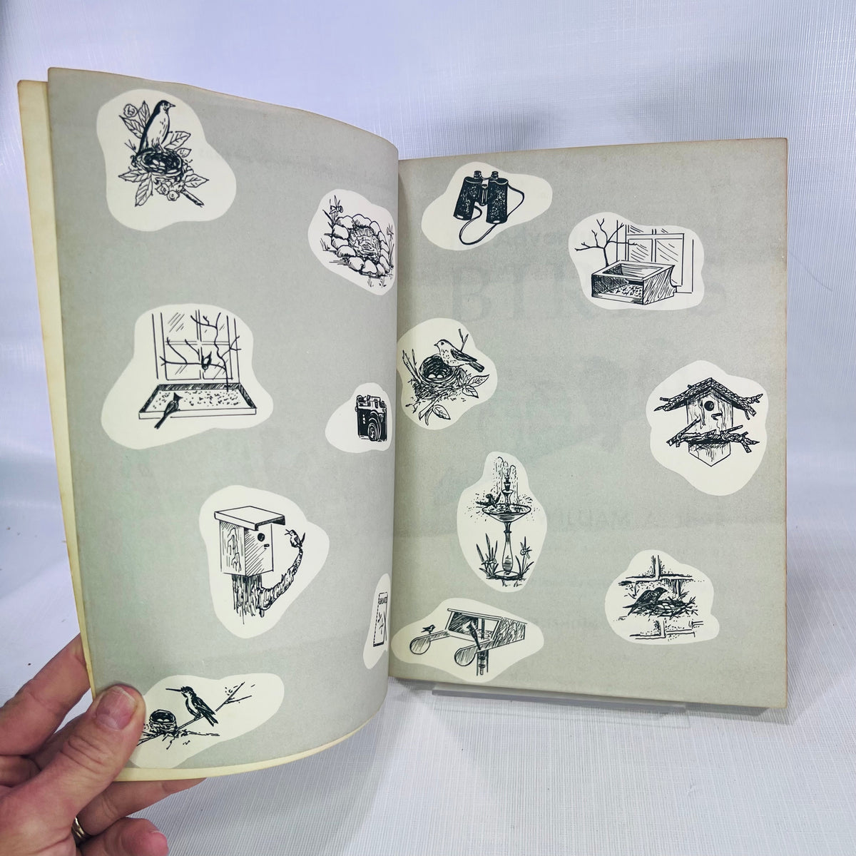 The Adventure Book of Birds by William A. Jerr illustrations by Charlotte Howard 1959 A Capitol Young Adventure Book