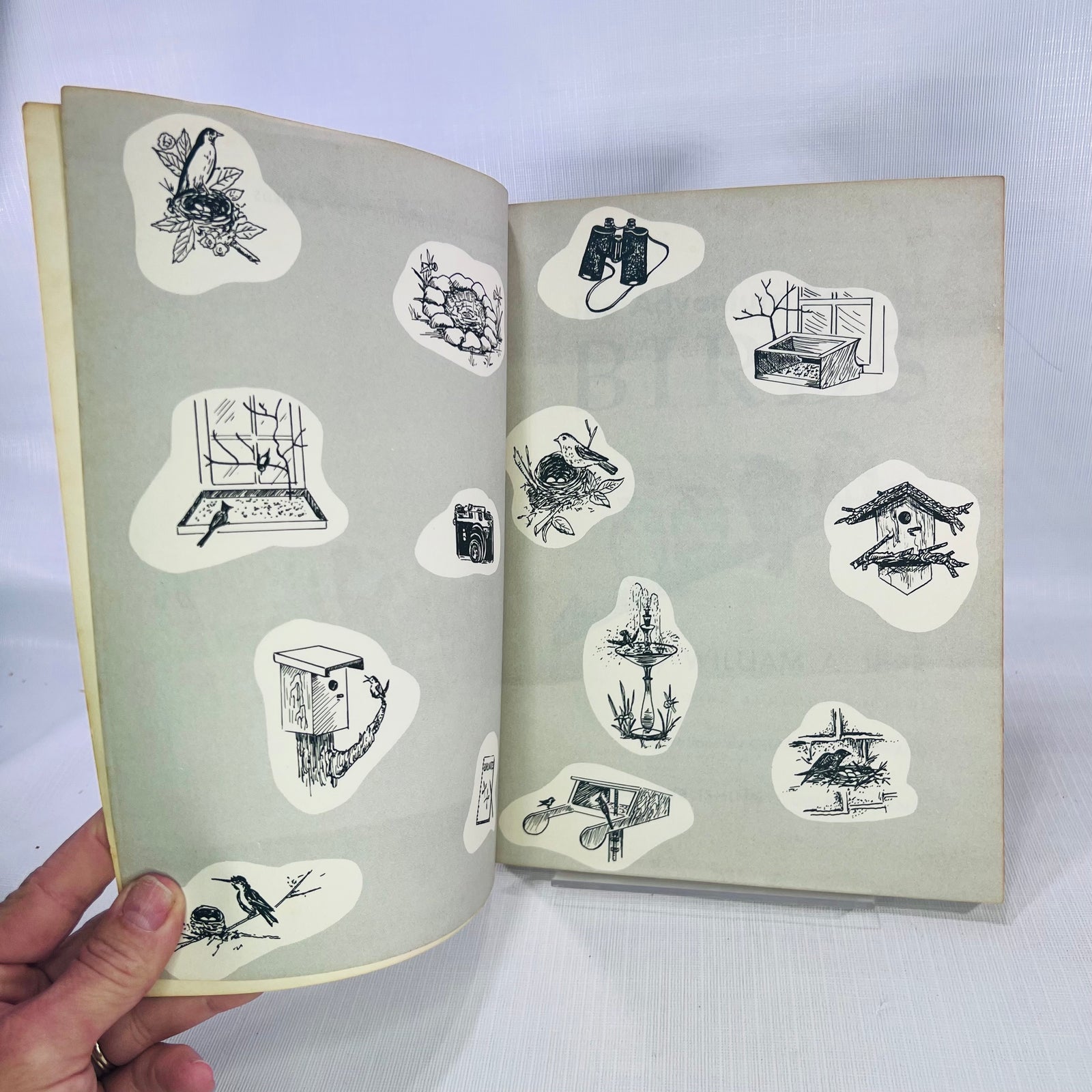 The Adventure Book of Birds by William A. Jerr illustrations by Charlotte Howard 1959 A Capitol Young Adventure Book