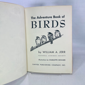 The Adventure Book of Birds by William A. Jerr illustrations by Charlotte Howard 1959 A Capitol Young Adventure Book