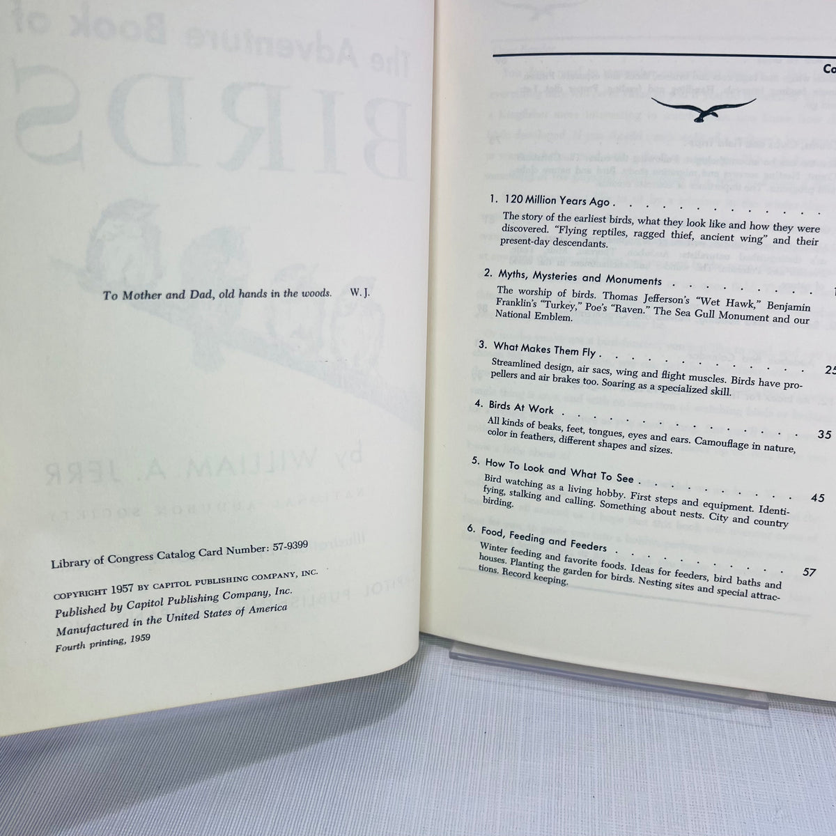 The Adventure Book of Birds by William A. Jerr illustrations by Charlotte Howard 1959 A Capitol Young Adventure Book
