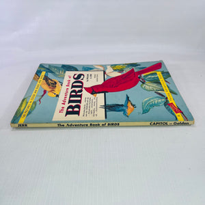 The Adventure Book of Birds by William A. Jerr illustrations by Charlotte Howard 1959 A Capitol Young Adventure Book