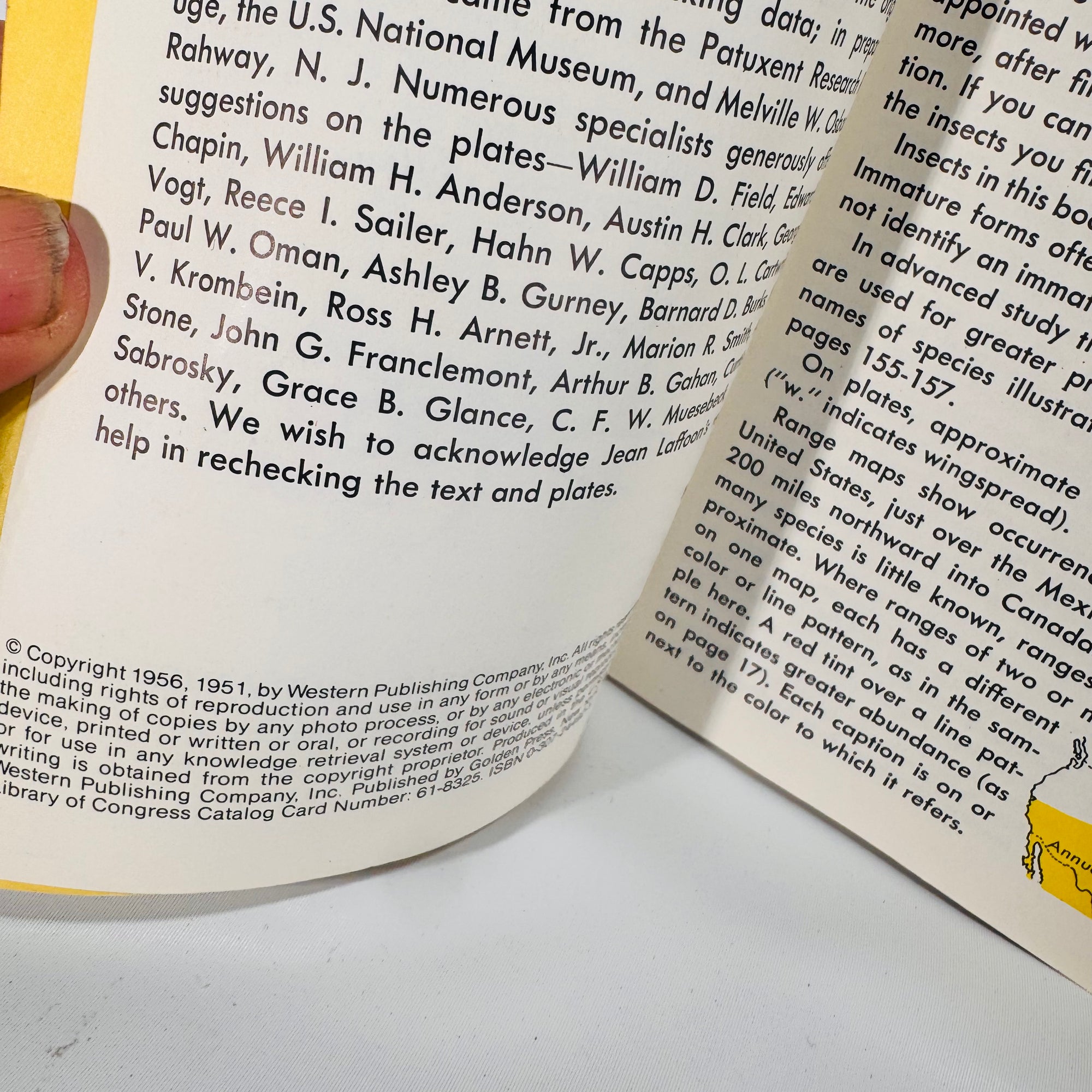 Vintage Golden Nature Guides — Birds, Fishes, Insects & Trees 1950's