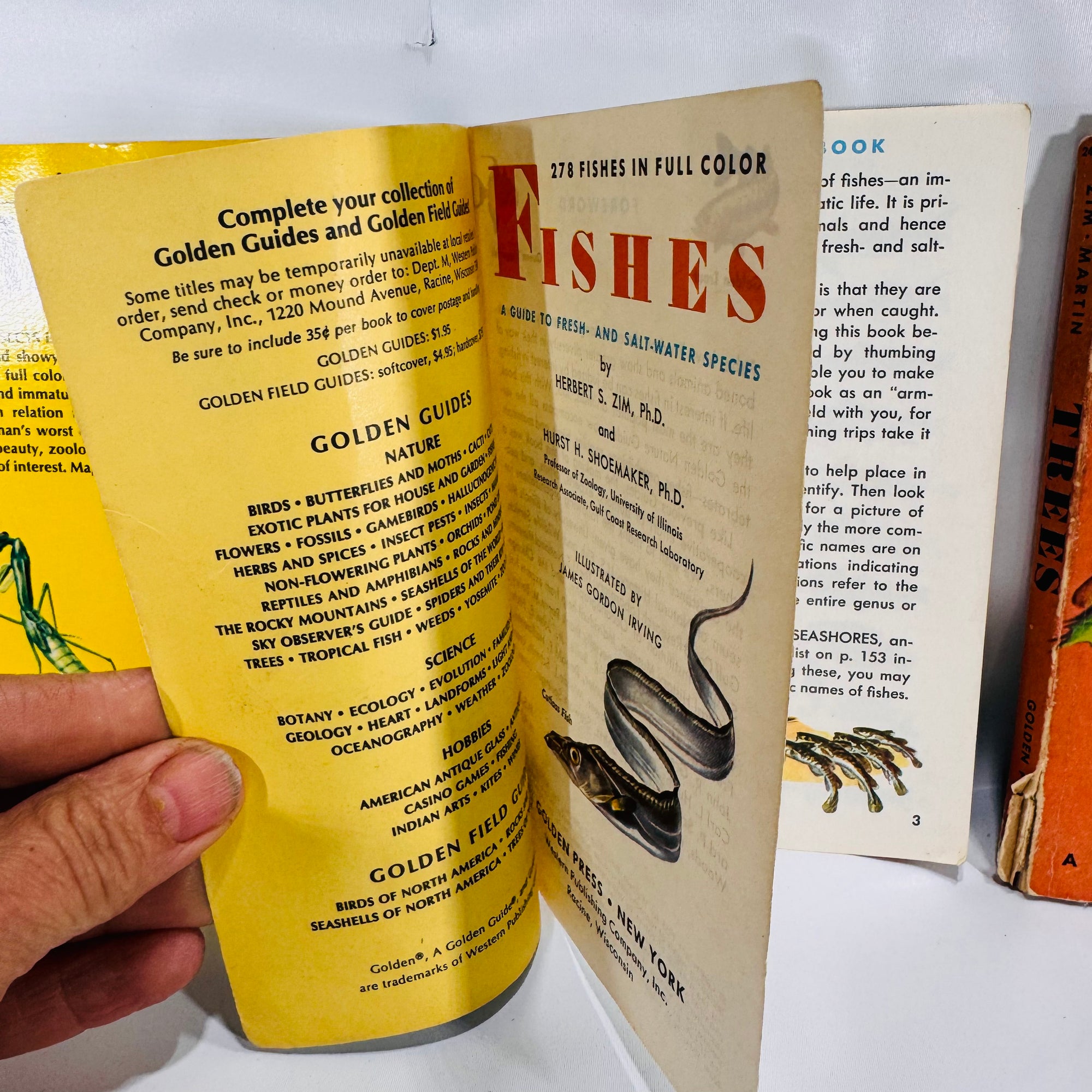 Vintage Golden Nature Guides — Birds, Fishes, Insects & Trees 1950's