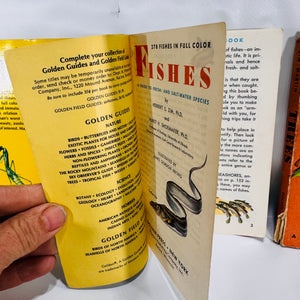 Vintage Golden Nature Guides — Birds, Fishes, Insects & Trees 1950's