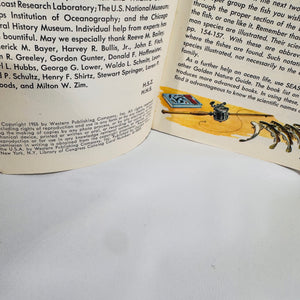 Vintage Golden Nature Guides — Birds, Fishes, Insects & Trees 1950's
