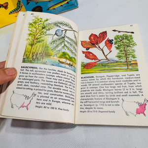 Vintage Golden Nature Guides — Birds, Fishes, Insects & Trees 1950's