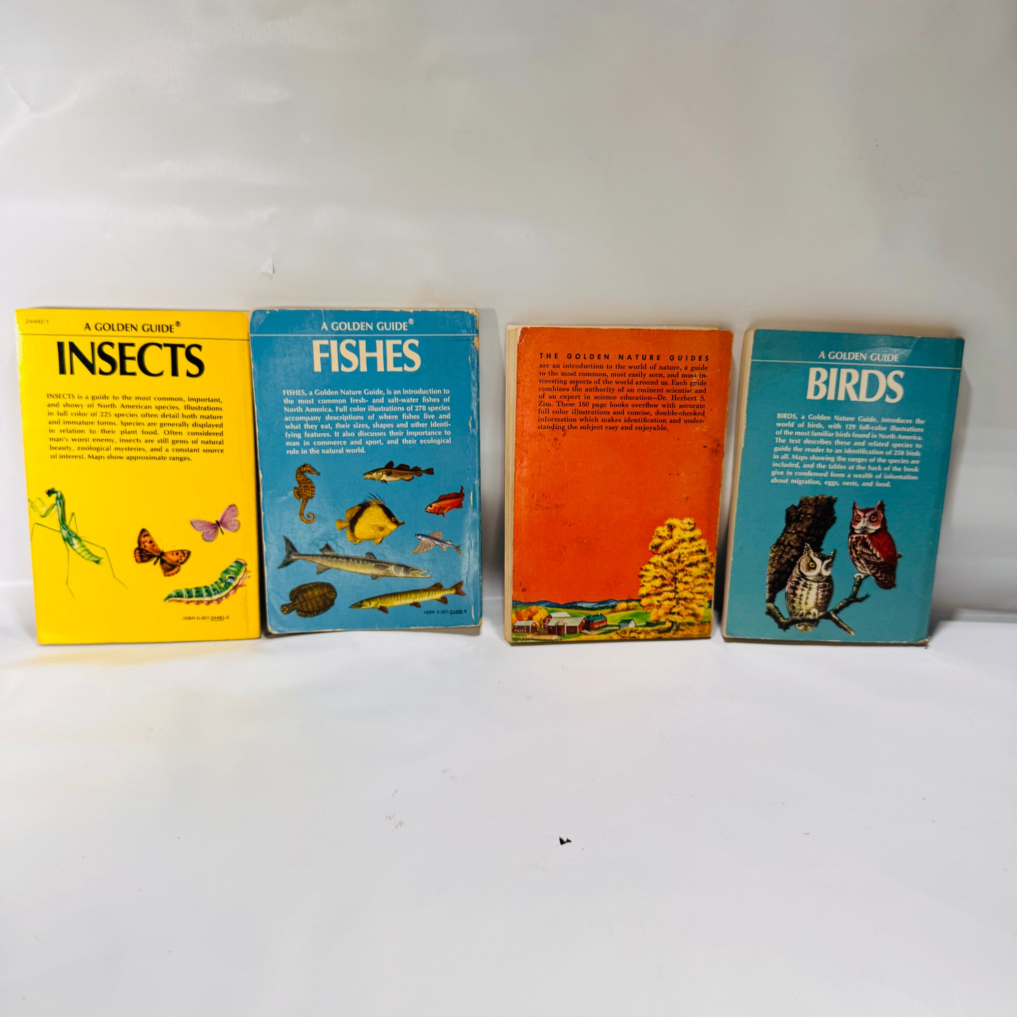 Vintage Golden Nature Guides — Birds, Fishes, Insects & Trees 1950's
