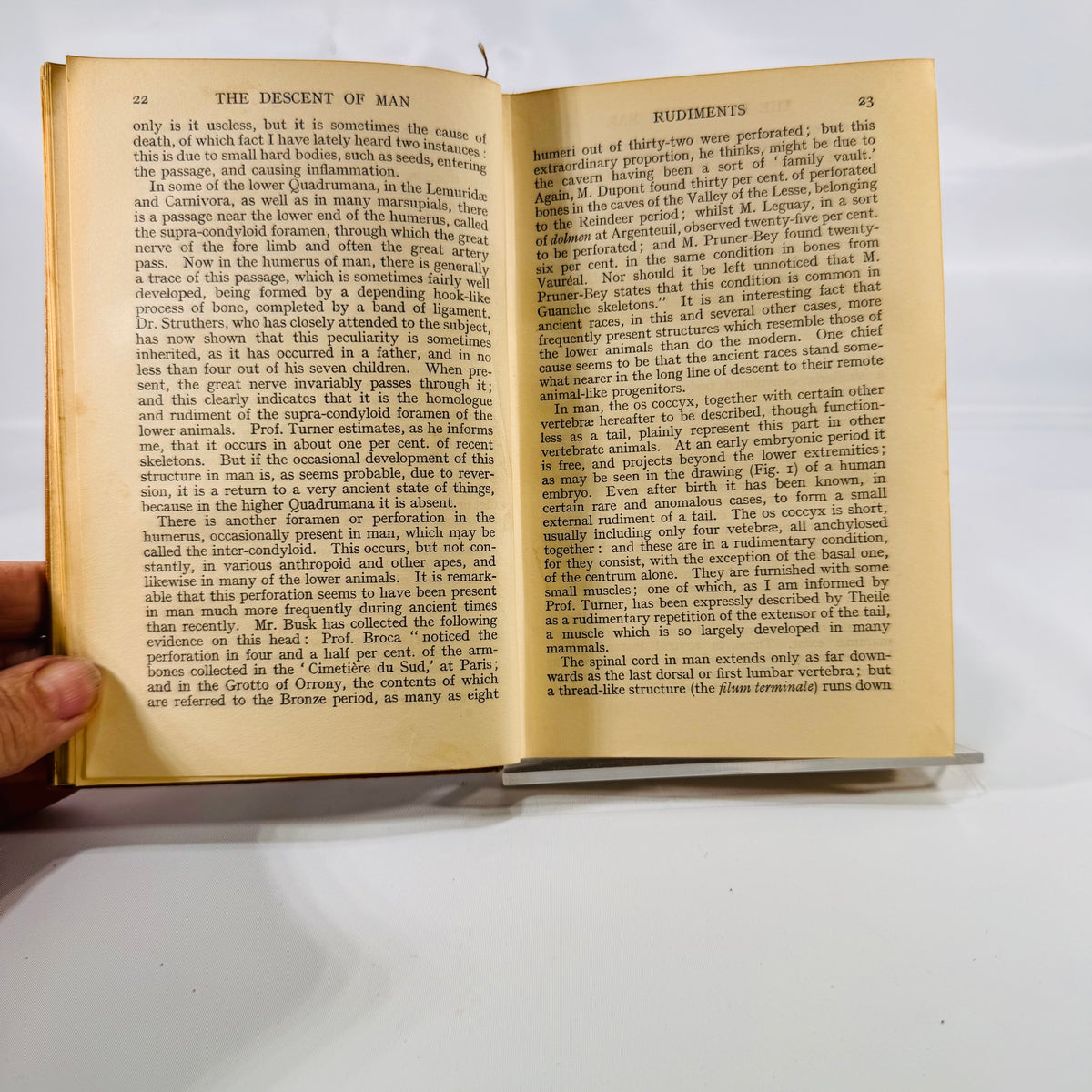 The Descent of Man 1930 open to Rudiments, pages 22 and 23