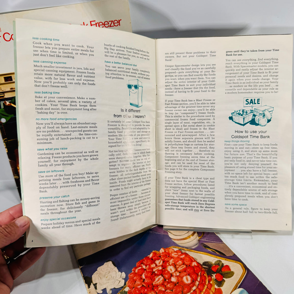 How to use your Coldspot Time Bank text pages, Sears freezer manual