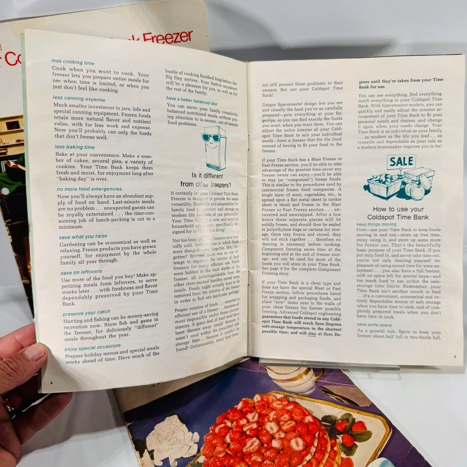 How to use your Coldspot Time Bank text pages, Sears freezer manual