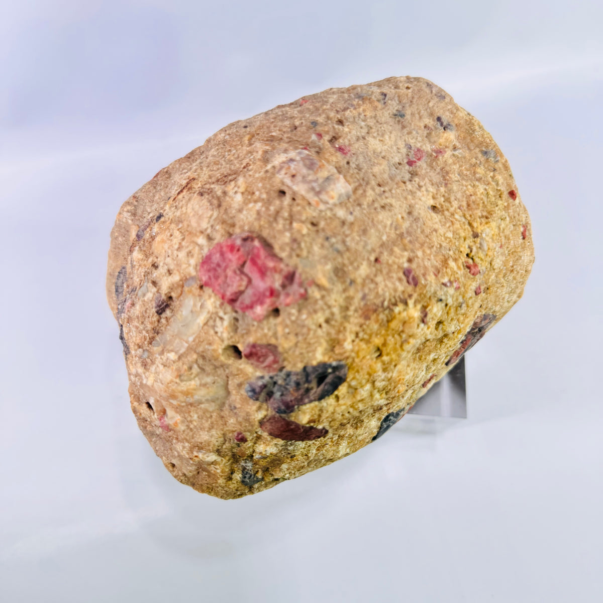 Large Michigan Puddingstone Display Rock 6 lb 4 oz Natural Jasper Conglomerate Quartzite Specimen