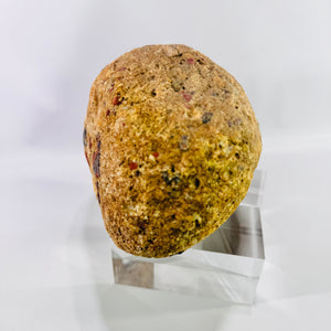 Large Michigan Puddingstone Display Rock 6 lb 4 oz Natural Jasper Conglomerate Quartzite Specimen