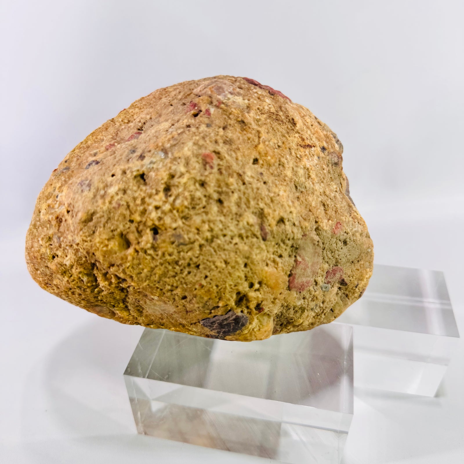 Large Michigan Puddingstone Display Rock 6 lb 4 oz Natural Jasper Conglomerate Quartzite Specimen