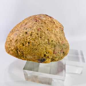 Large Michigan Puddingstone Display Rock 6 lb 4 oz Natural Jasper Conglomerate Quartzite Specimen