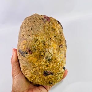 Large Michigan Puddingstone Display Rock 6 lb 4 oz Natural Jasper Conglomerate Quartzite Specimen