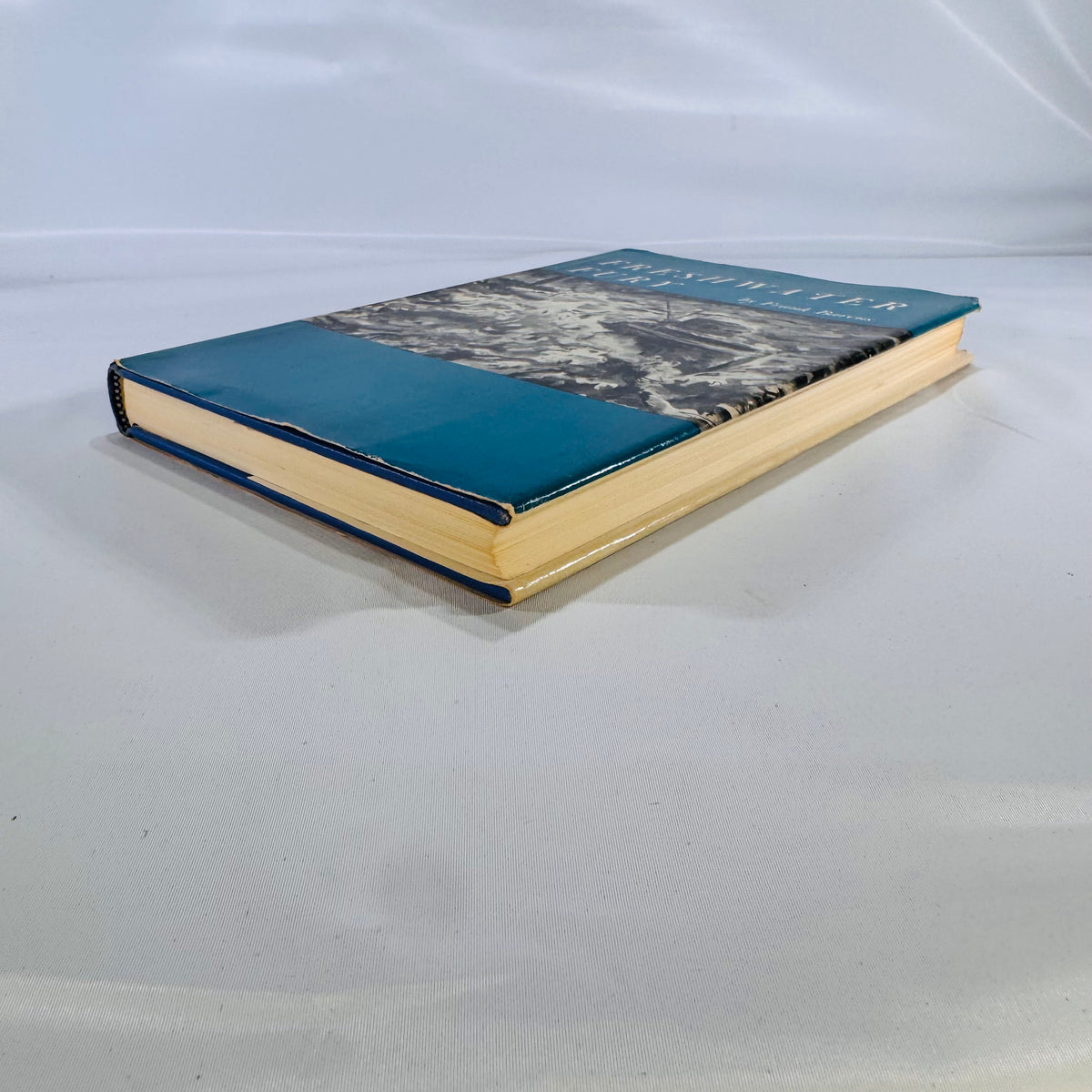 Freshwater Fury • Yarns & Reminiscences of the Greatest Storm in Inland Navigation • Frank Barcus