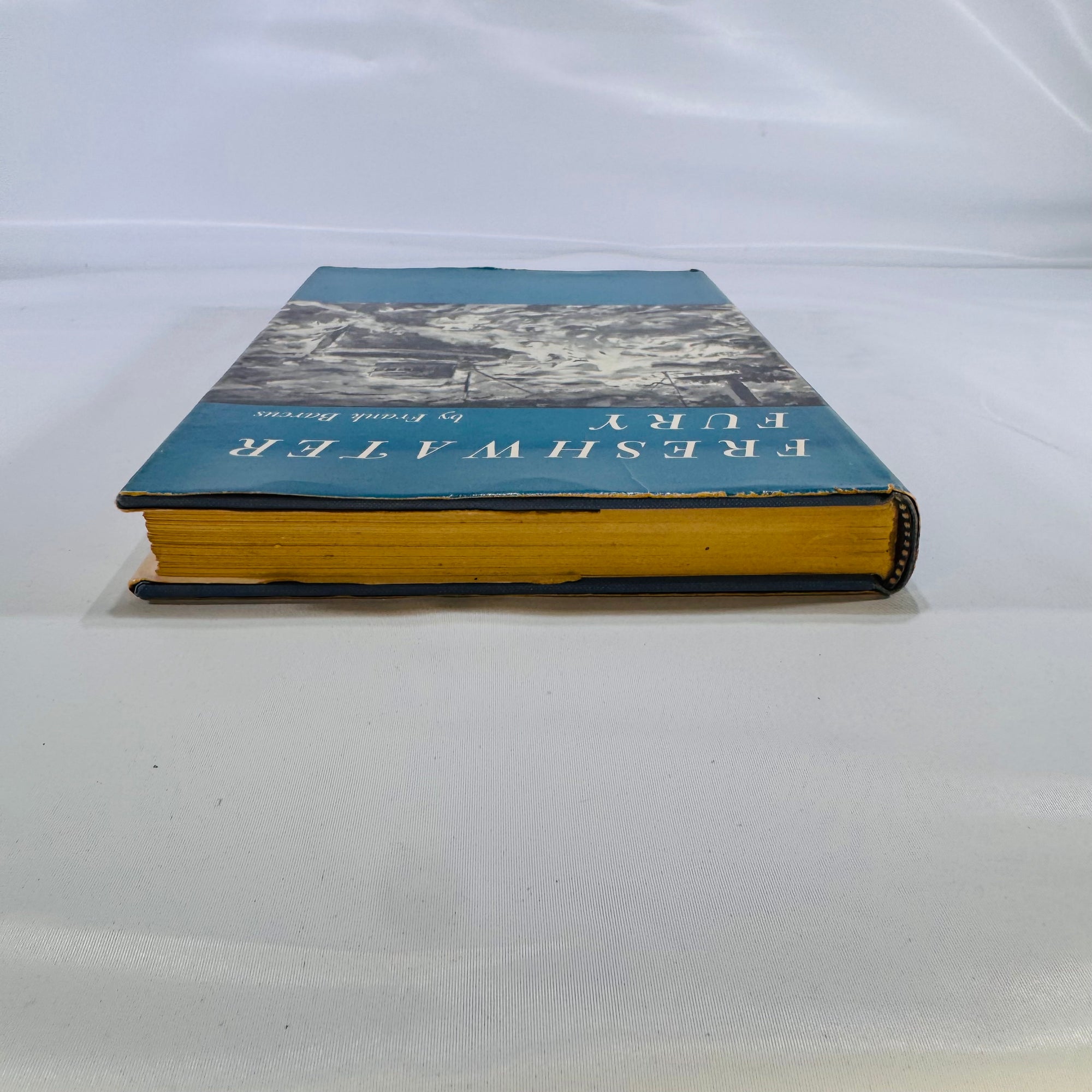 Freshwater Fury • Yarns & Reminiscences of the Greatest Storm in Inland Navigation • Frank Barcus