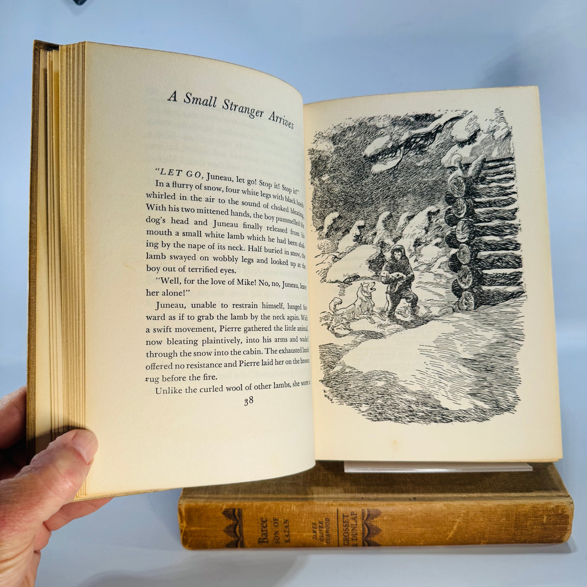 Vintage Animal Adventure Fiction Hardcover Bundle — Baree: Son of Kazan + Juneau: The Sleigh Dog (1917/1942) — Curwood & Lathrop | Illustrated Dog Stories,  Vintage Animal Adventure Fiction