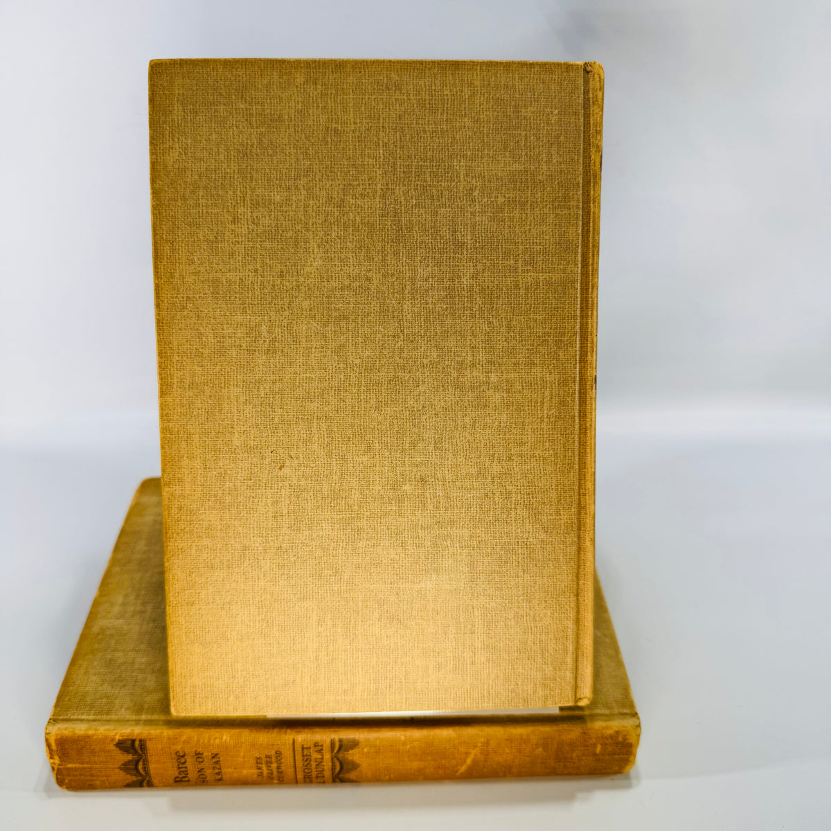 Vintage Animal Adventure Fiction Hardcover Bundle — Baree: Son of Kazan + Juneau: The Sleigh Dog (1917/1942) — Curwood & Lathrop | Illustrated Dog Stories,  Vintage Animal Adventure Fiction