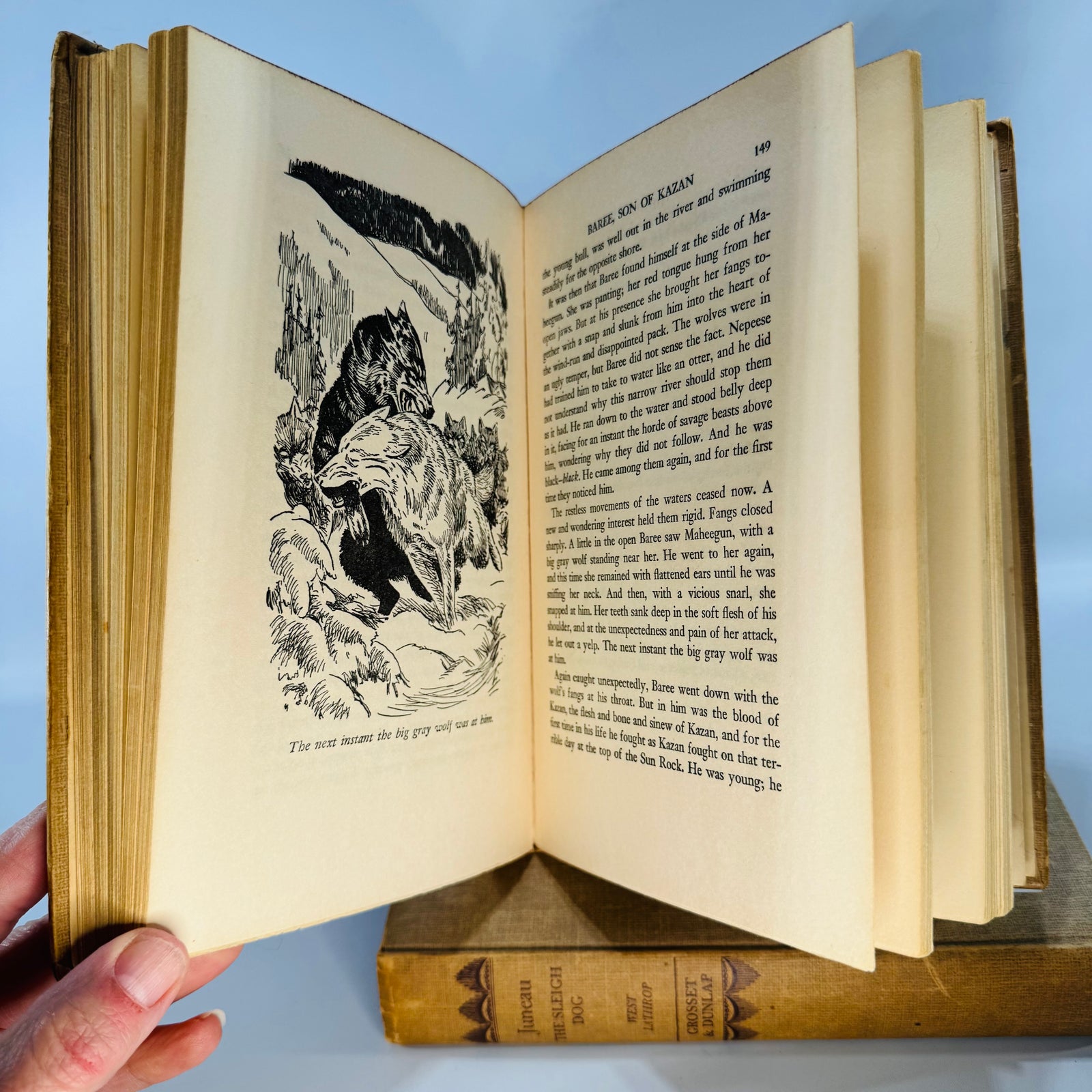 Vintage Animal Adventure Fiction Hardcover Bundle — Baree: Son of Kazan + Juneau: The Sleigh Dog (1917/1942) — Curwood & Lathrop | Illustrated Dog Stories,  Vintage Animal Adventure Fiction