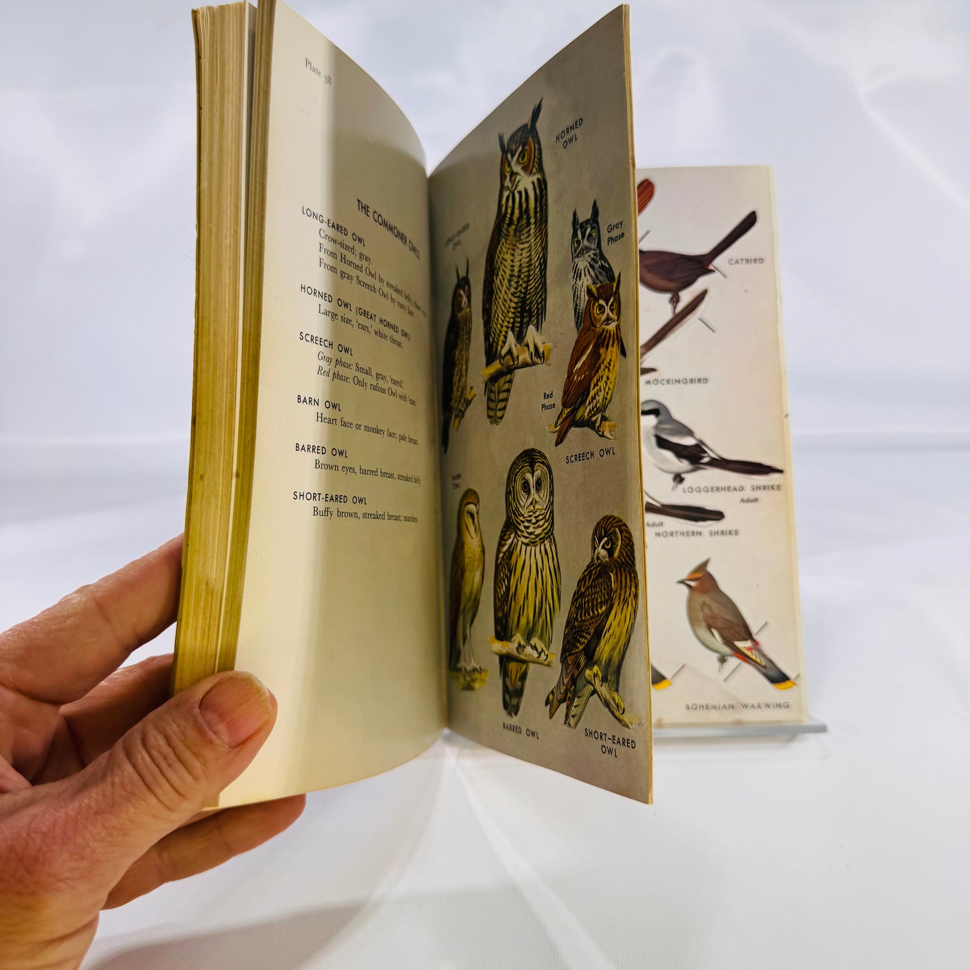 A Field Guide to the Birds • Eastern Land & Water Birds • Vintage Peterson