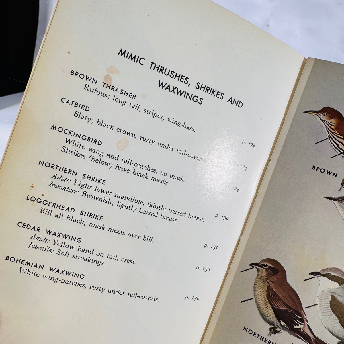 A Field Guide to the Birds • Eastern Land & Water Birds • Vintage Peterson