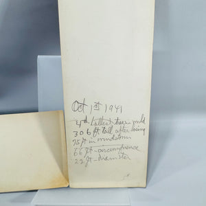 Oversized California Redwood Photo Postcards — Santa Cruz & Richardson Grove (c.1941) — Souvenir Ephemera Pair | Giant Trees, Travel Ephemera