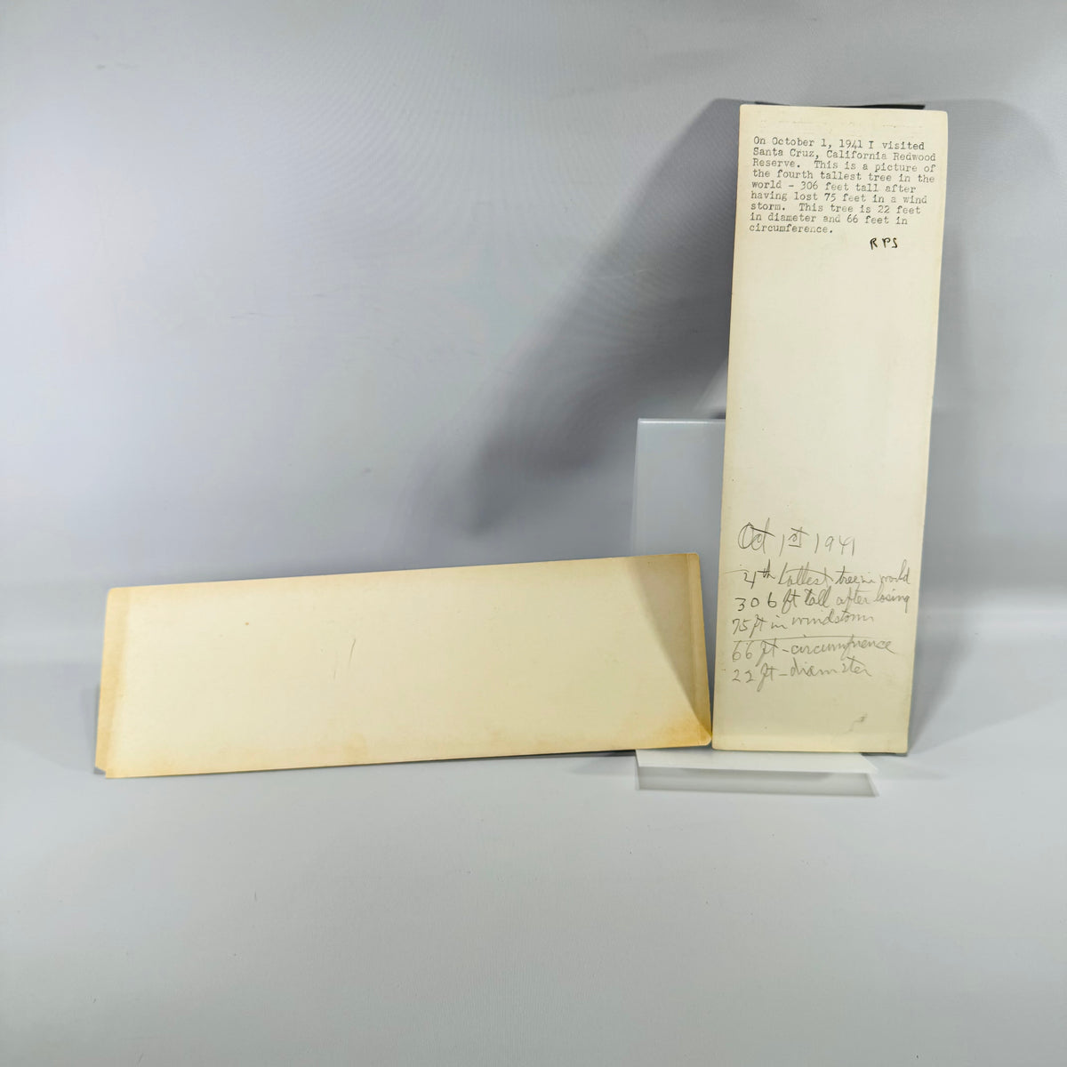 Redwood photo postcards 1941 backs, panoramic card lying flat and tall card standing
