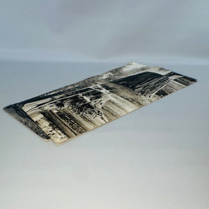 Oversized California Redwood Photo Postcards — Santa Cruz & Richardson Grove (c.1941) — Souvenir Ephemera Pair | Giant Trees, Travel Ephemera