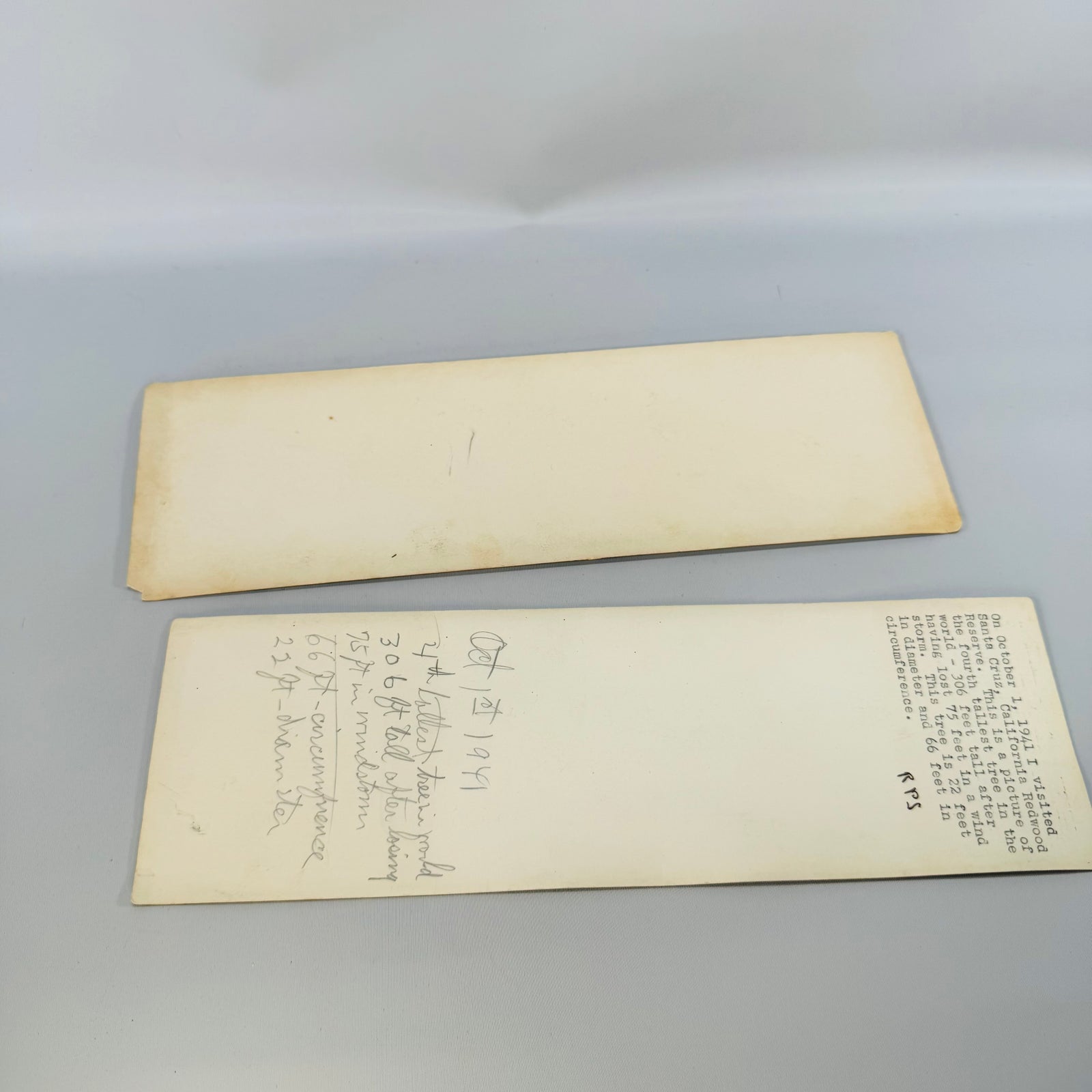 Redwood photo postcards 1941, both backs laid flat with typed and pencil notes