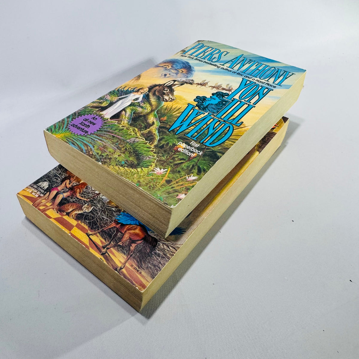 Piers Anthony Xanth Book Bundle Yon Ill Wind & The Color of Her Panties Paperbacks