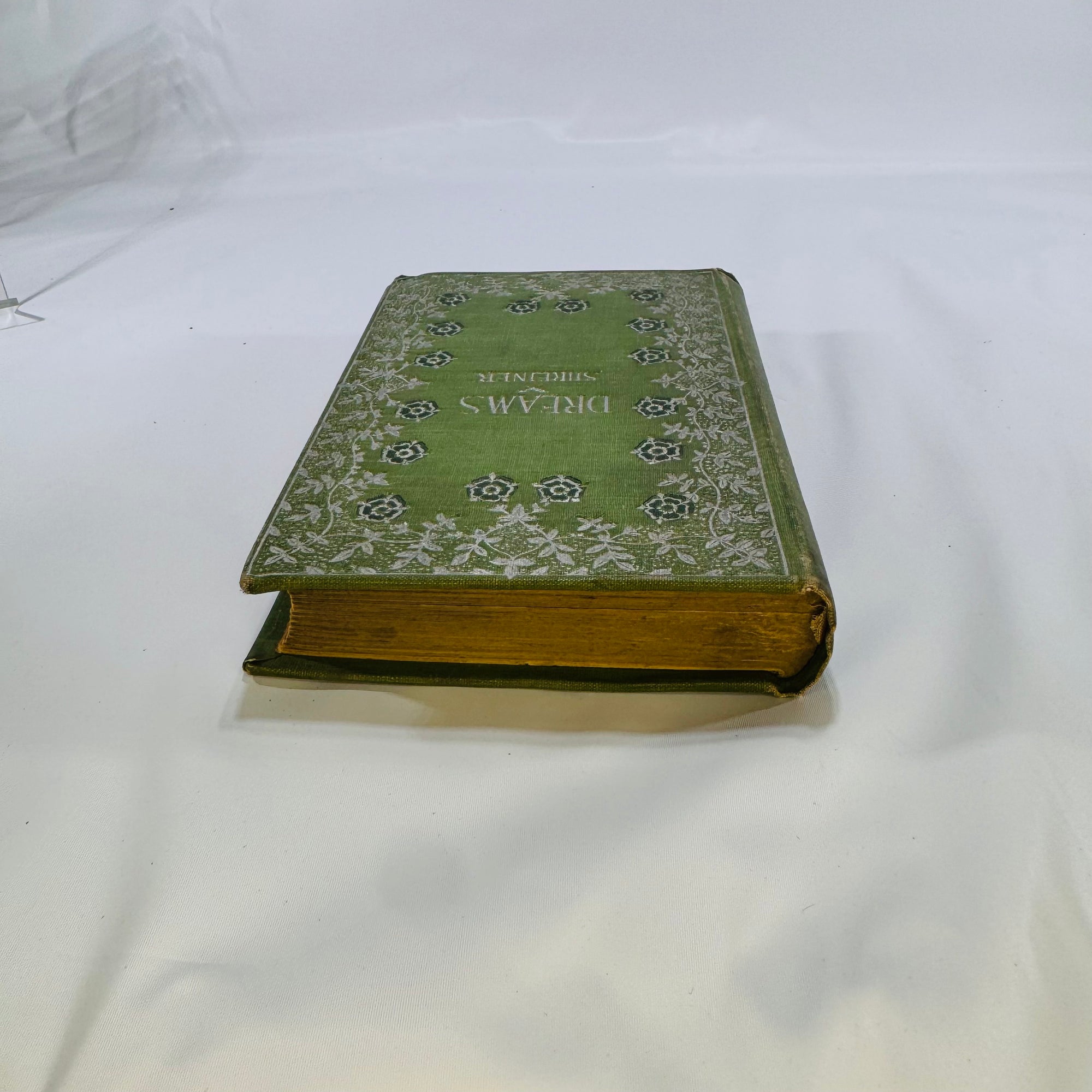 Dreams by Olive Schreiner circa 1900 HM Caldwell Company Hardcover