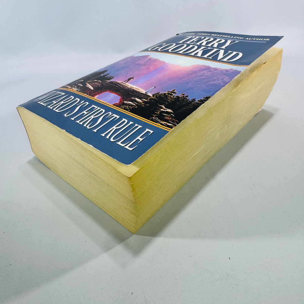 Wizard's First Rule by Terry Goodkind 1995 Tor Fantasy Paperback Sword of Truth Book 1