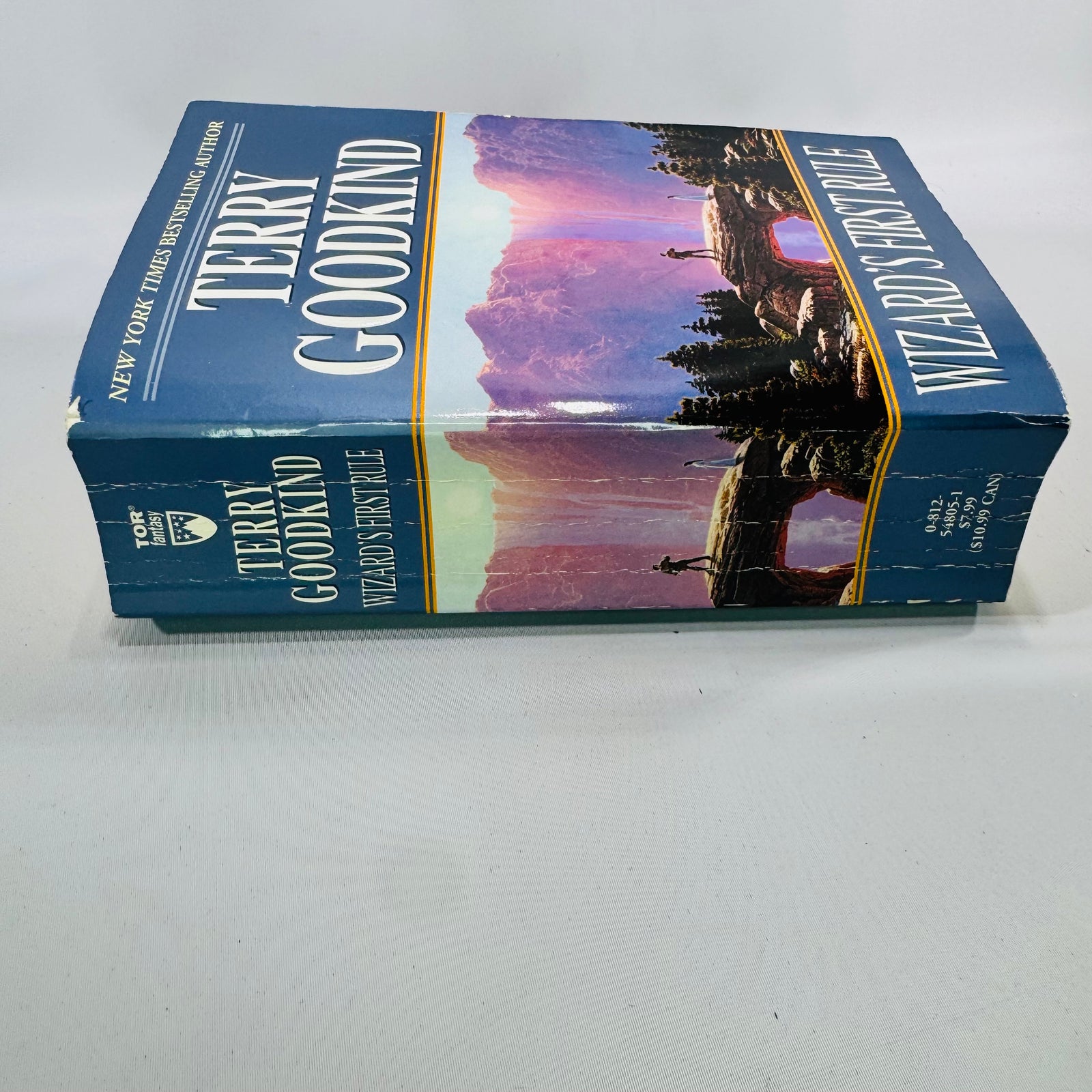 Wizard's First Rule by Terry Goodkind 1995 Tor Fantasy Paperback Sword of Truth Book 1